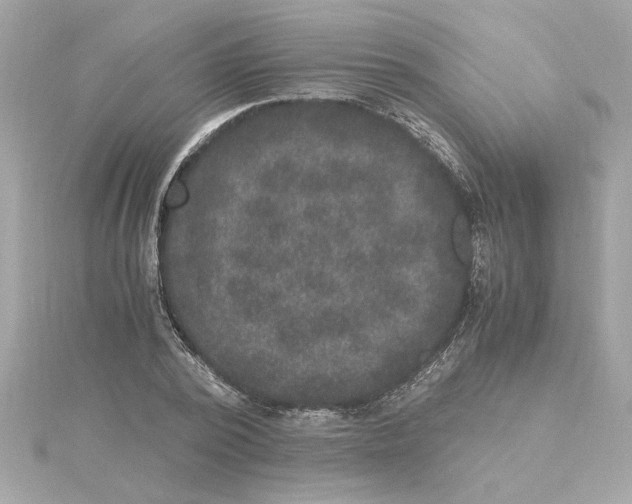 X0000115280784200911272006