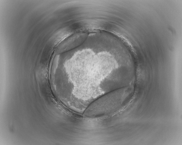 X0000115280785200911272006