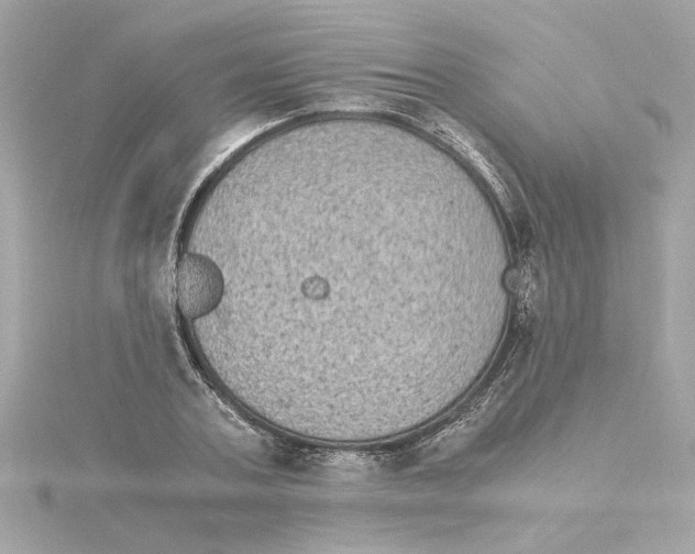 X0000115280787200911272006