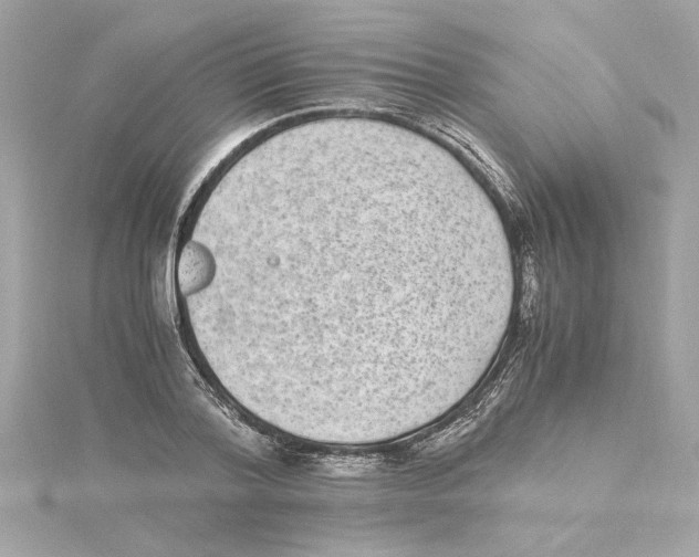 X0000115280788200911272006