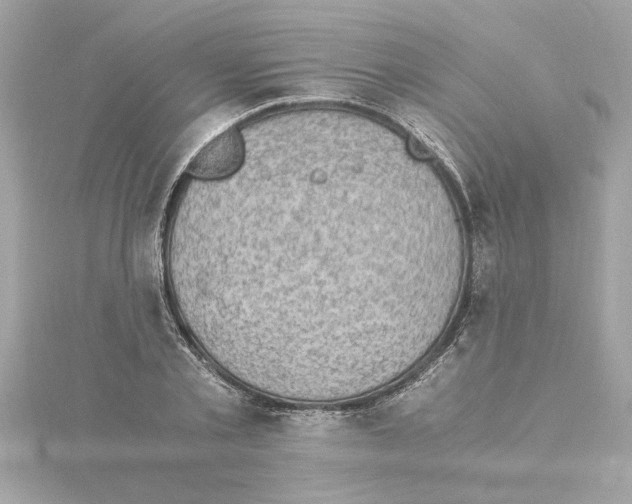 X0000115280789200911272006