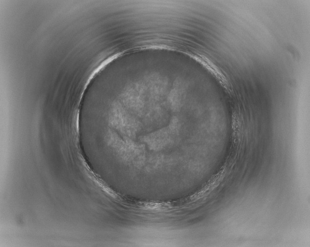 X0000115280790200911272006