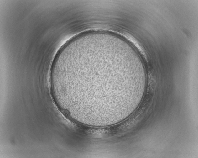 X0000115280791200911272006