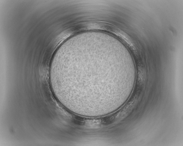 X0000115280793200911272006