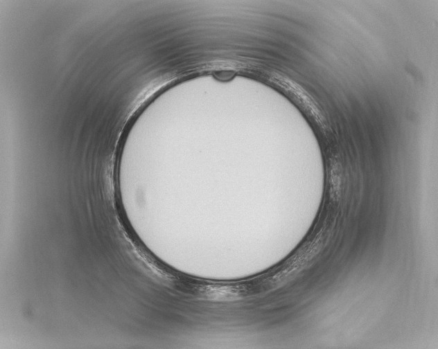 X0000115280794200911272006