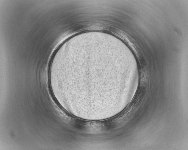 X0000115280795200911272006