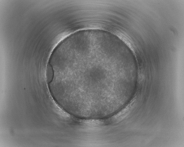 X0000115280797200911272006