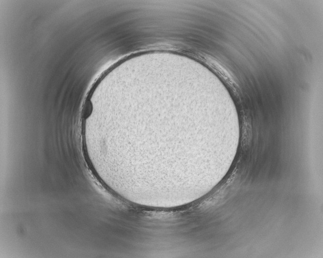 X0000115280800200911272006