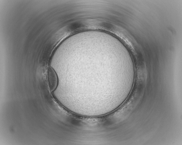 X0000115280801200911272006