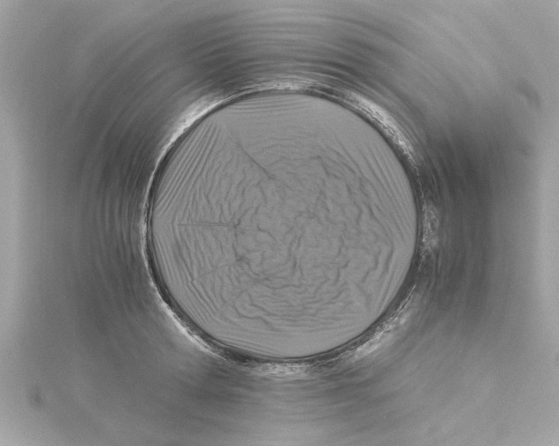 X0000115280802200911272006