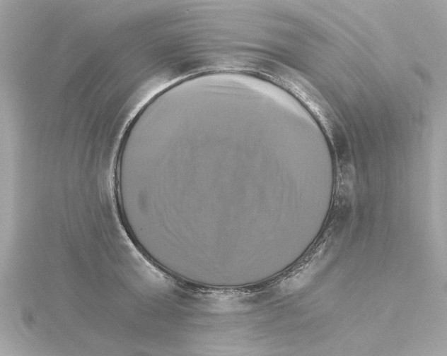 X0000115280803200911272006