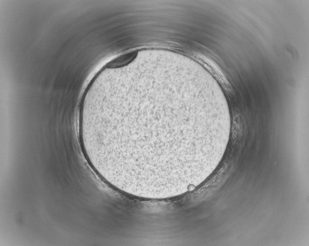 X0000115280804200911272005