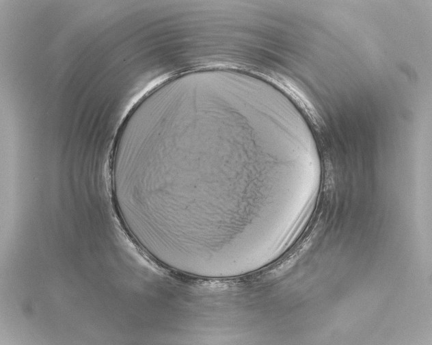 X0000115280806200911272005