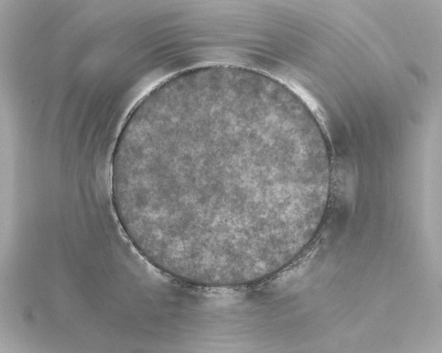 X0000115280807200911272005