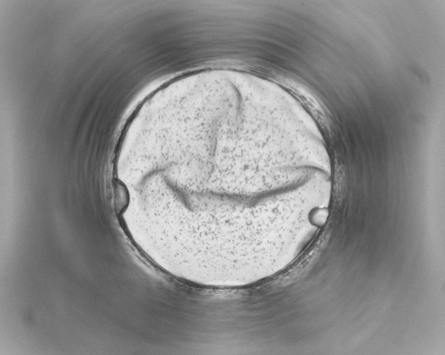 X0000115280808200911272005