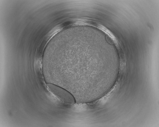 X0000115280809200911272005