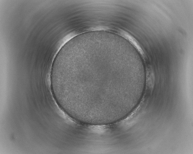 X0000115280810200911272005