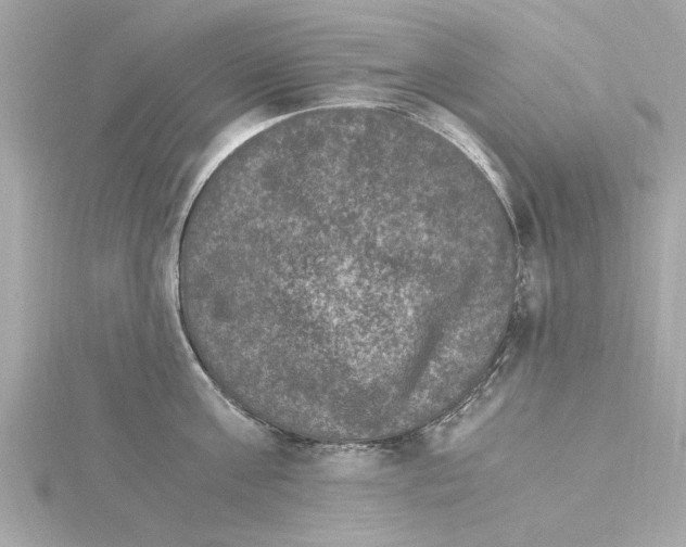 X0000115280811200911272005