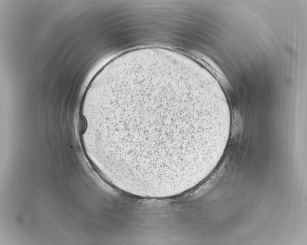 X0000115280812200911272005