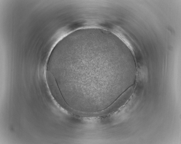 X0000115280813200911272005