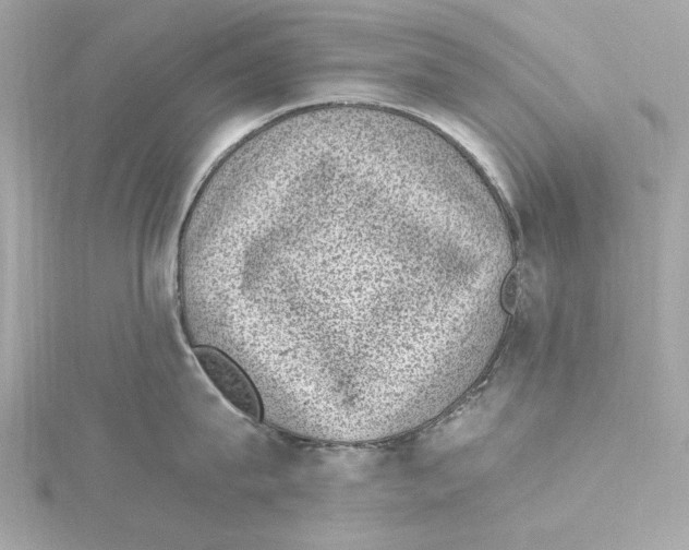 X0000115280815200911272005