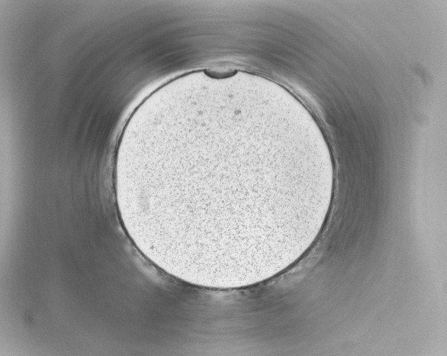 X0000115280816200911272005