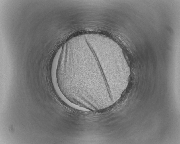 X0000115280817200911272005