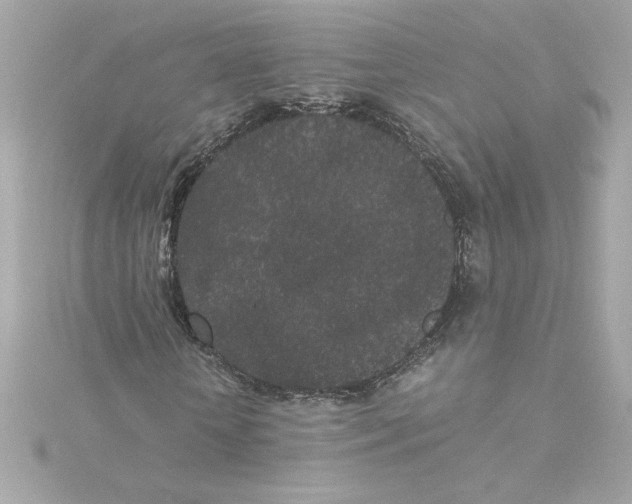 X0000115280818200911272005