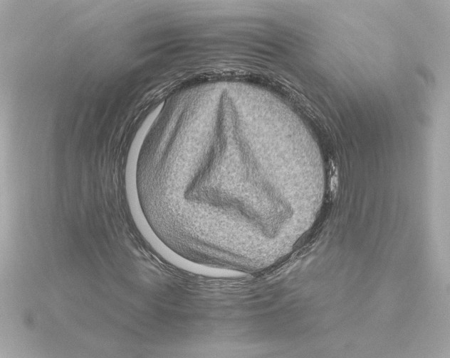 X0000115280819200911272005