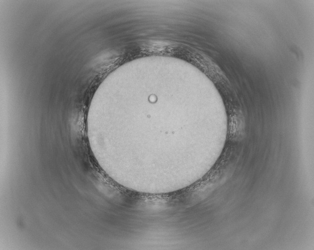 X0000115280820200911272005