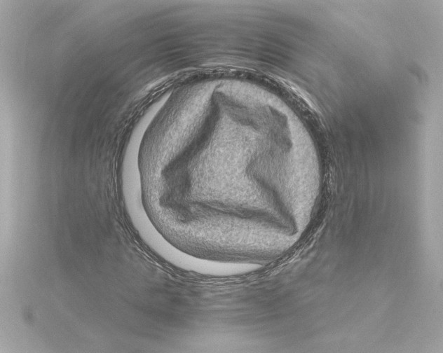 X0000115280821200911272005