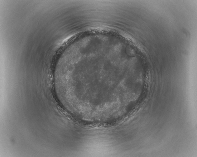 X0000115280822200911272005