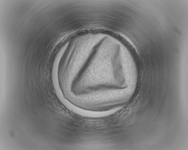 X0000115280823200911272005