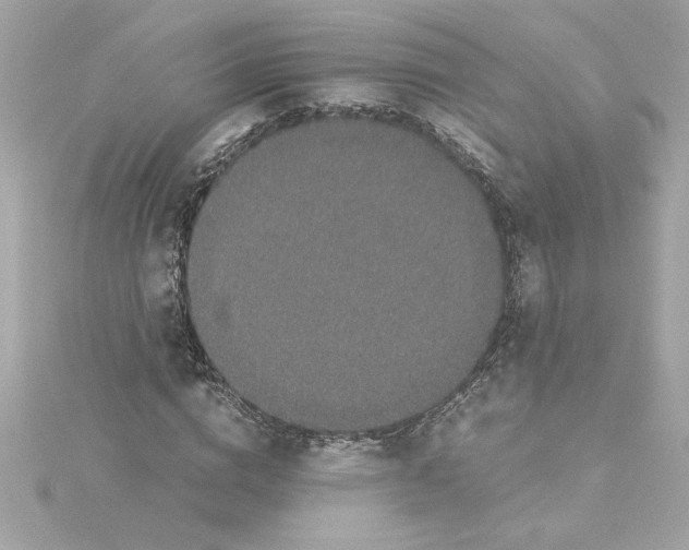 X0000115280824200911272005