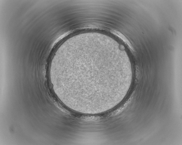 X0000115280826200911272005