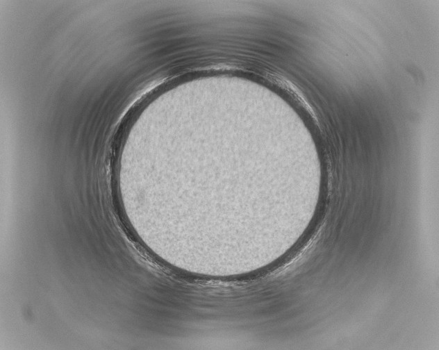 X0000115280827200911272005