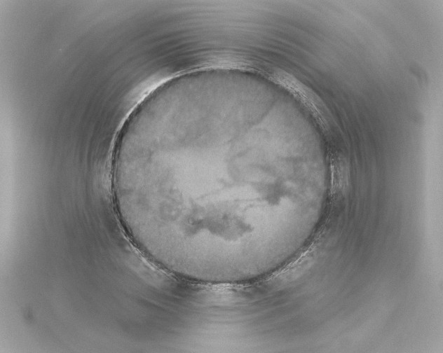 X0000115280828200911272005