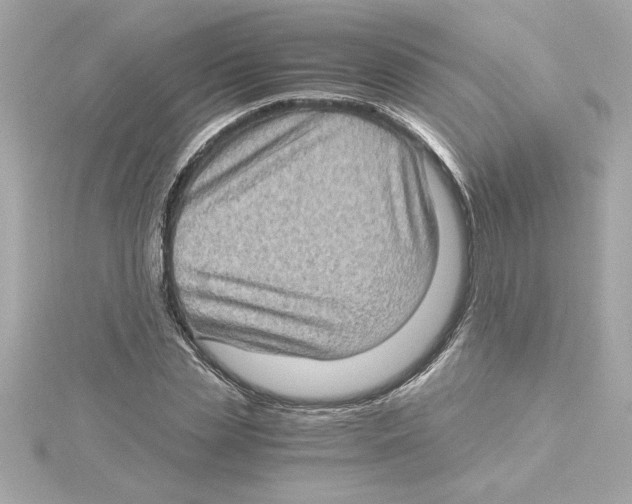 X0000115280829200911272005