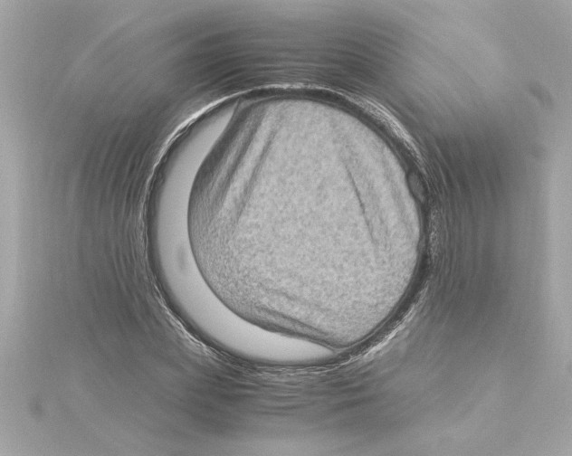 X0000115280831200911272005