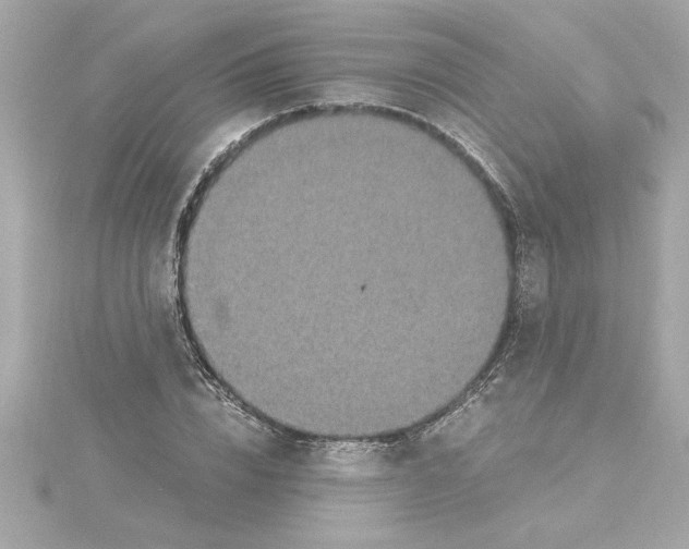 X0000115280832200911272005