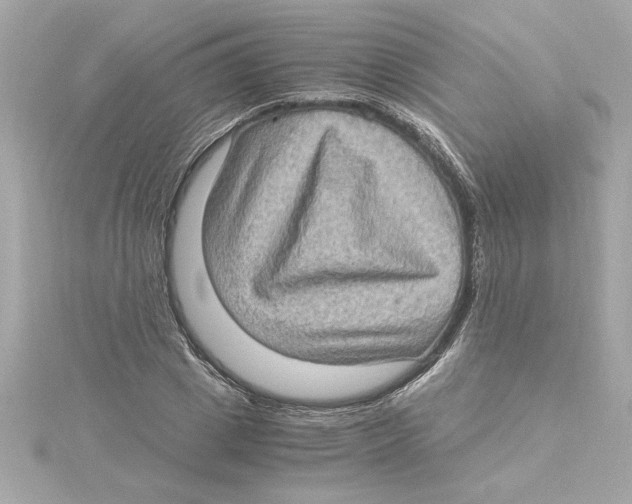 X0000115280833200911272005