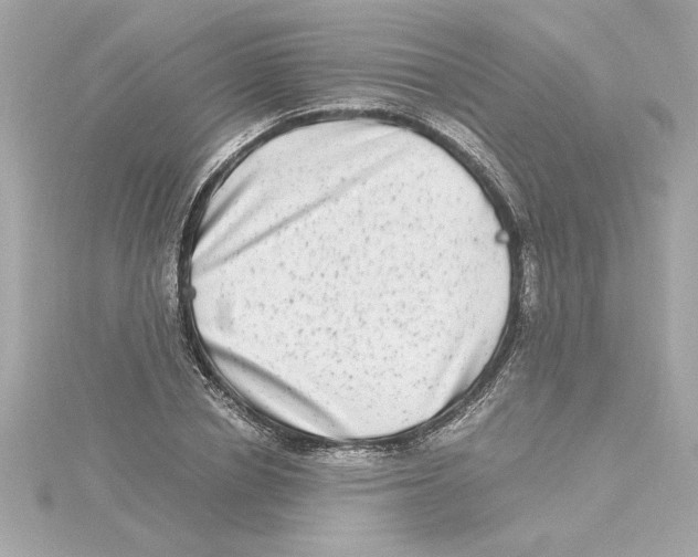 X0000115280834200911272005