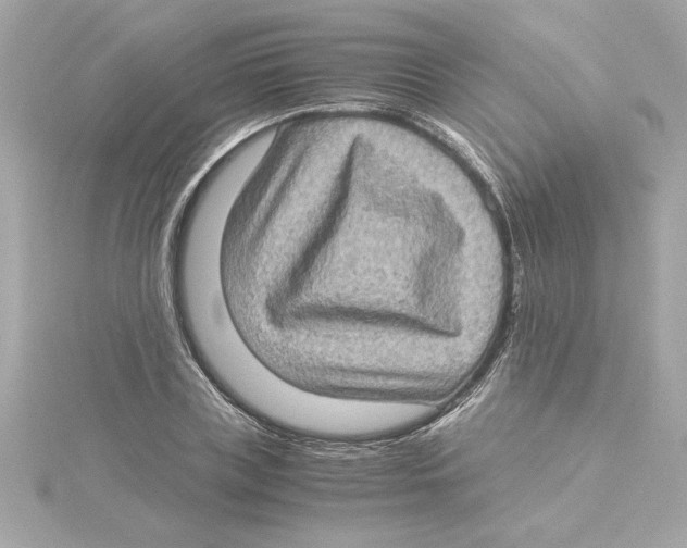 X0000115280835200911272005