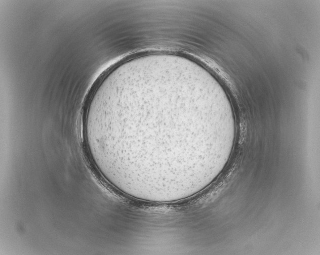 X0000115280838200911272005