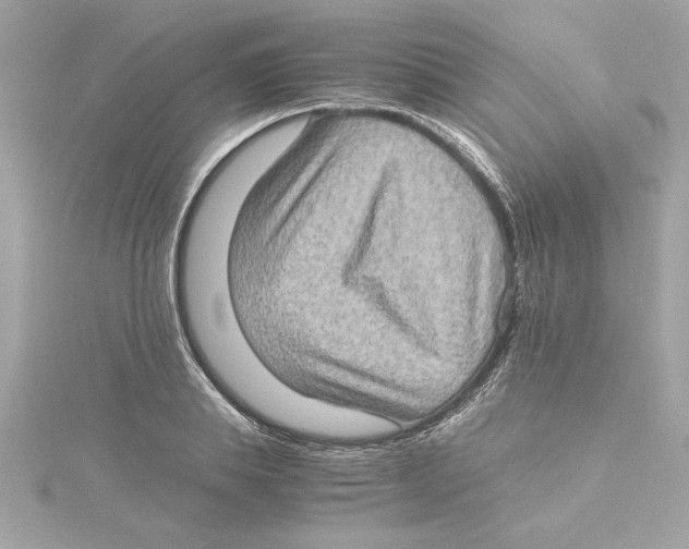 X0000115280839200911272005