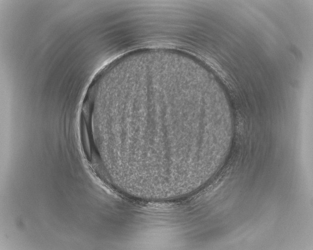 X0000115280840200911272005