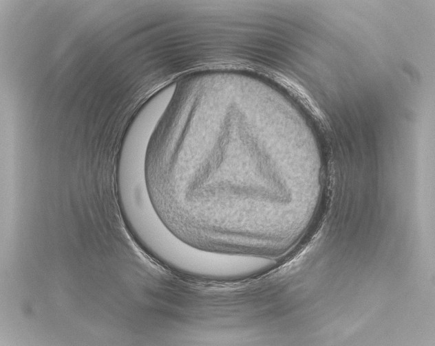 X0000115280841200911272005