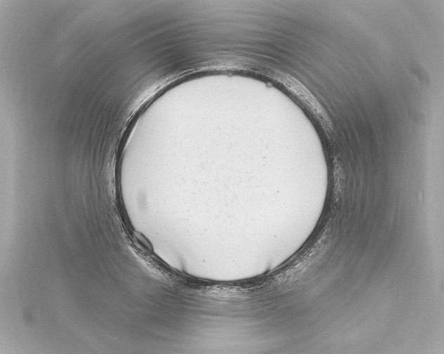 X0000115280842200911272005