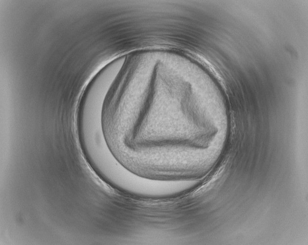 X0000115280843200911272005