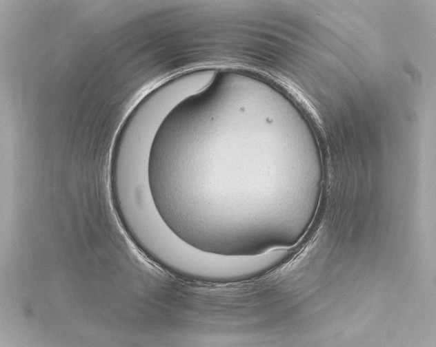 X0000115280845200911272005